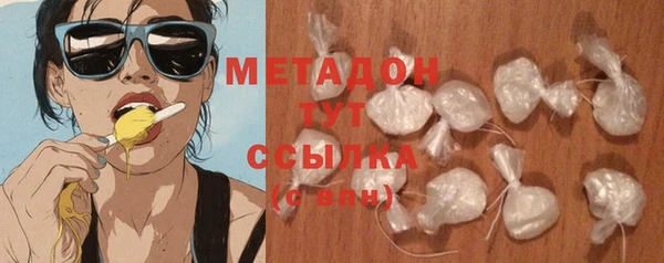 индика Козловка