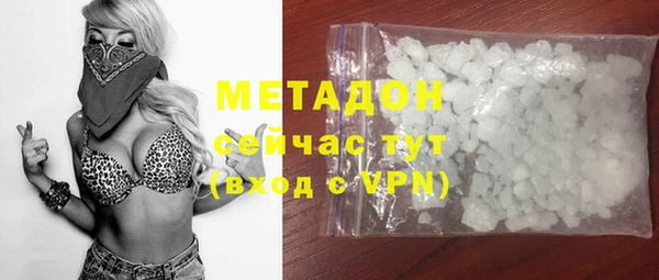 индика Козловка