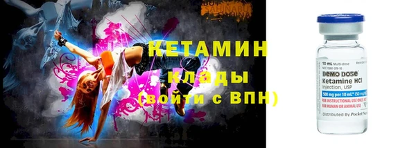 индика Козловка