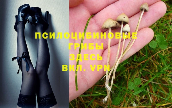 индика Козловка