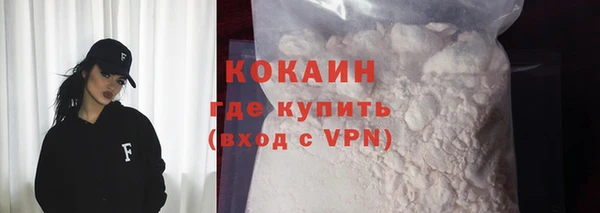 индика Козловка