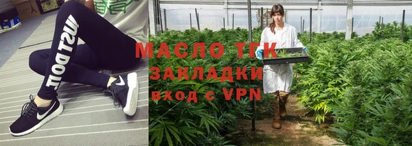 индика Козловка