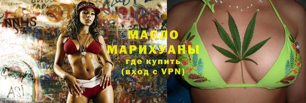 индика Козловка