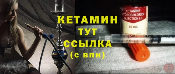 индика Козловка