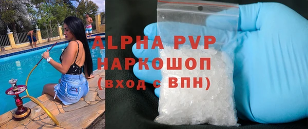 индика Козловка