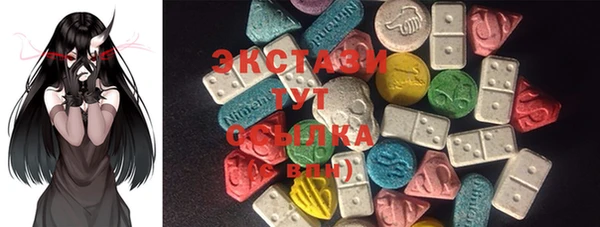 индика Козловка
