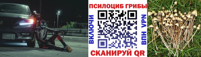 Галлюциногенные грибы ЛСД  где продают наркотики  Обнинск 